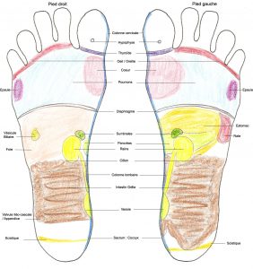 schema-zones-reflexes-pieds