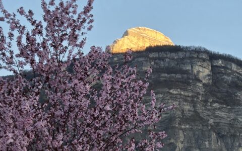 🌸Les bienfaits de la réflexologie au printemps🌸