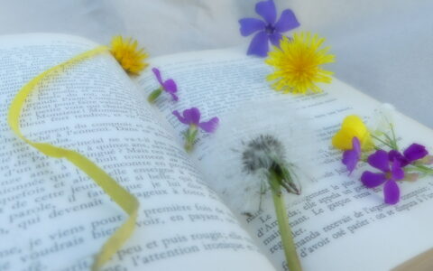 🌸Les bienfaits de la réflexologie au printemps🌸