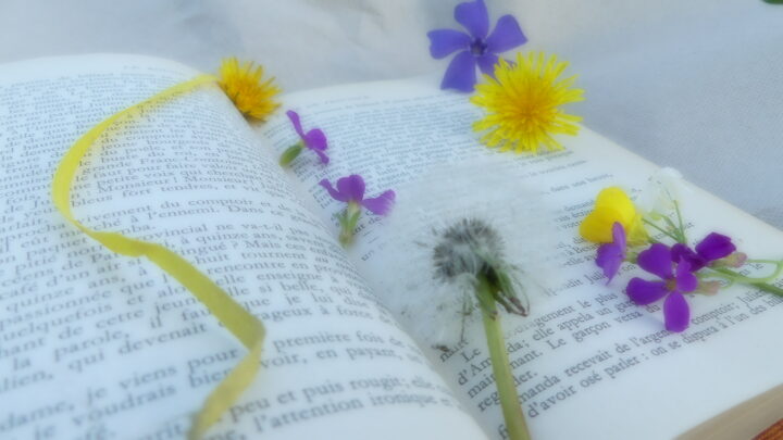 🌸Les bienfaits de la réflexologie au printemps🌸